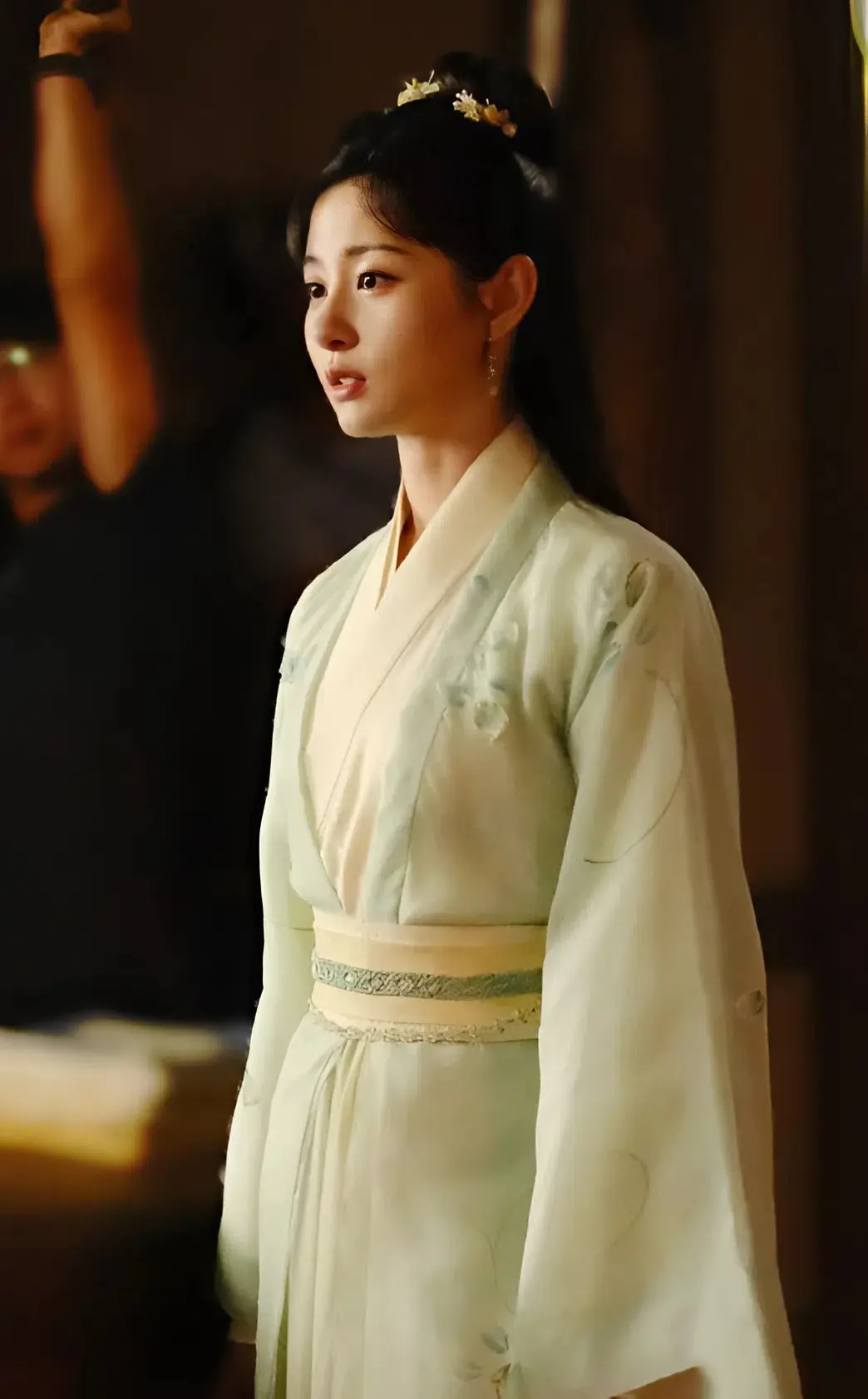Zhao Qing Photo 4
