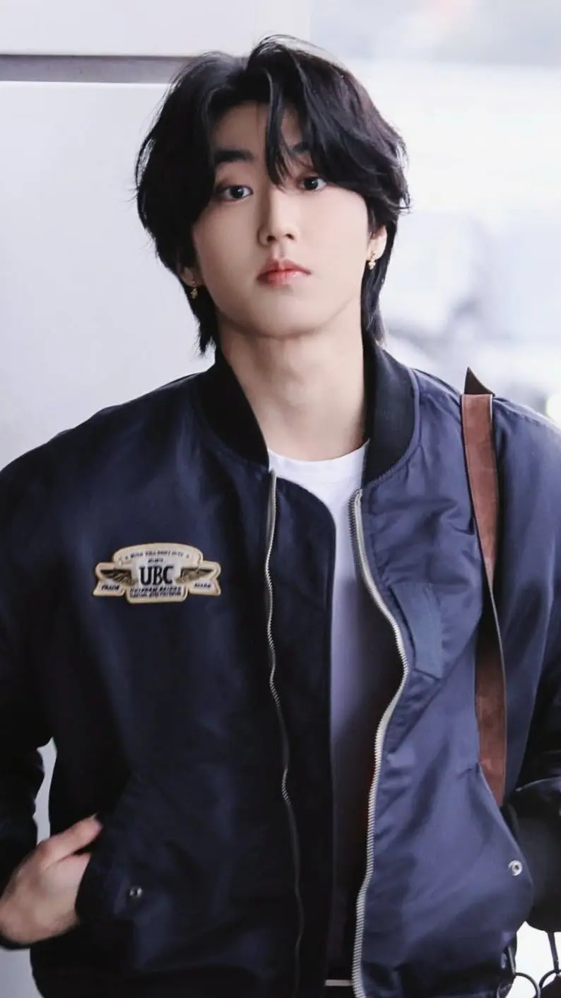 Han (Stray Kids)